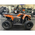 Квадроцикл TAO 250 TITAN. Сборочный комплект  6